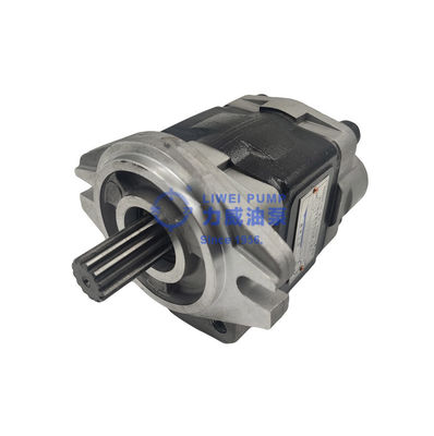 Seit 1956 Hewei-Marken-Gabelstapler-Teil-Hydraulikpumpe 91E71-10200 69101-FK281
